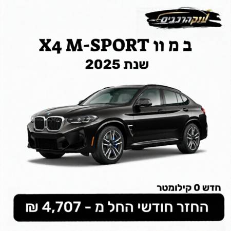    X4 XDRIVE20I -  1