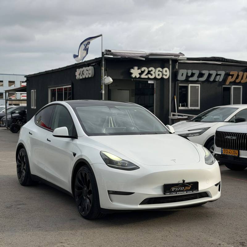 ����MODEL Y
