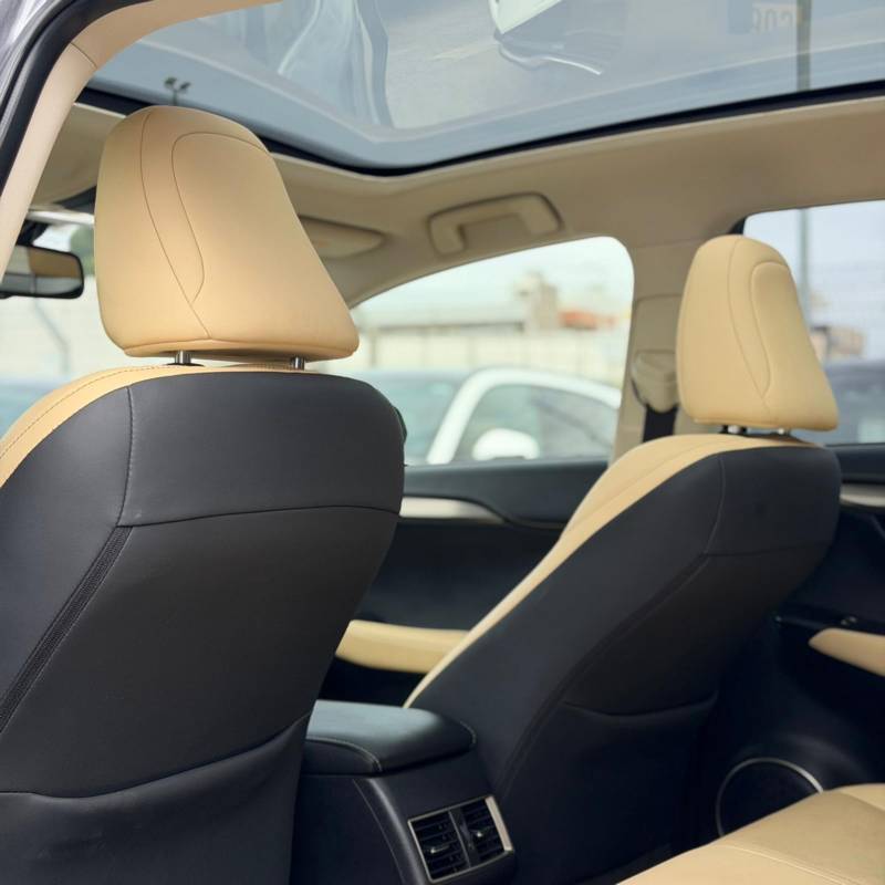 ����� LEXUS NX300H - ����� 10