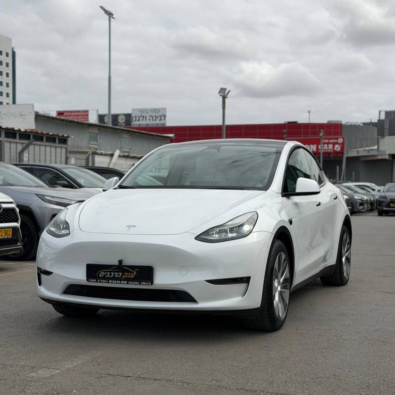 ���� MODEL Y - ����� 2