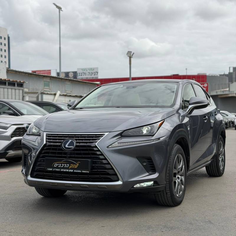 ����� LEXUS NX300H - ����� 3