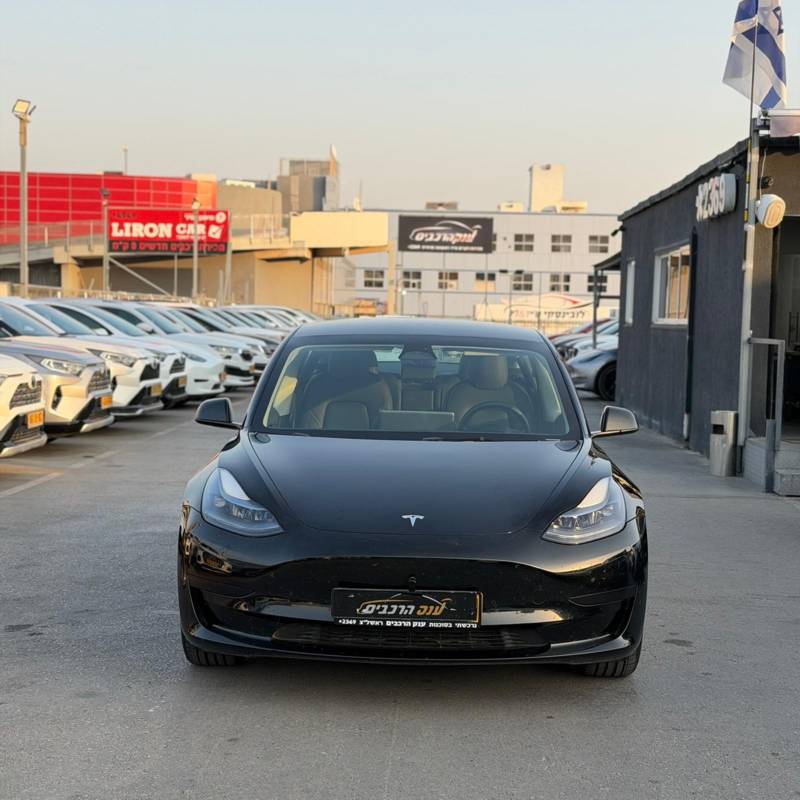  MODEL 3 -  3