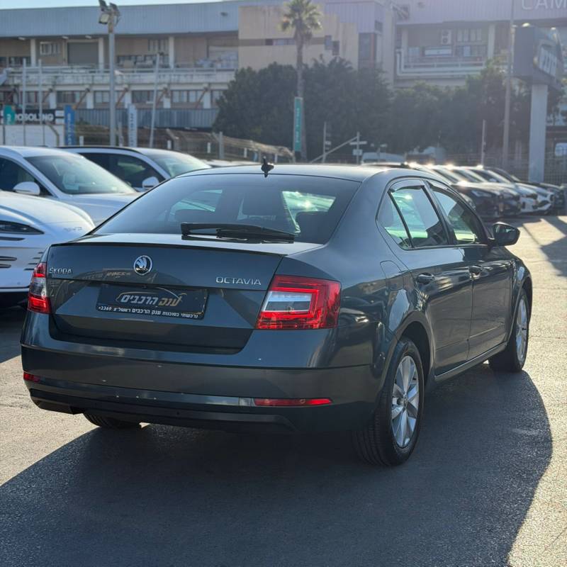 ����� OCTAVIA - ����� 4
