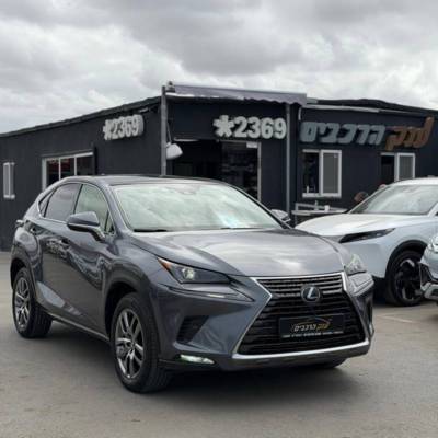 �����&nbsp;LEXUS NX300H