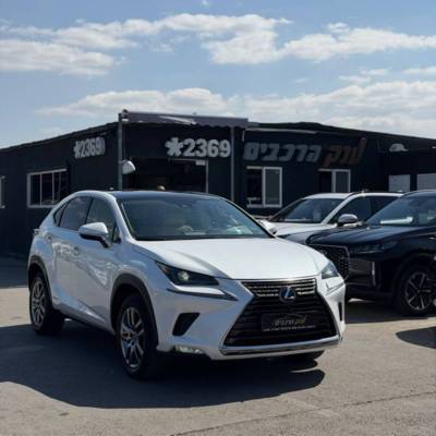 �����NX300H