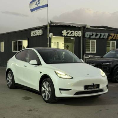 ����&nbsp;MODEL Y