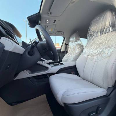�� ��� �� BYD ATTO 2 DM-I - ����� 8