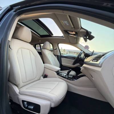    X4 XDRIVE20I -  8